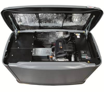 Газовый генератор Pramac GA10000 с АВР 